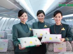 Nâng hạng vé EVA Air đi Đài Loan: Điều kiện và chi phí